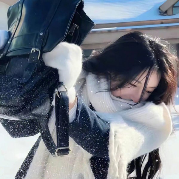 豺狼 海报